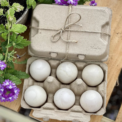 Open Six Jumbo Duck Egg Cartons Pack With Blank Top For Custom Labels Each Carton Holds Six Large Eggs Ideal For Farm Fresh Or Backyard Eggs Eco Friendly Paper Pulp 100 Pack