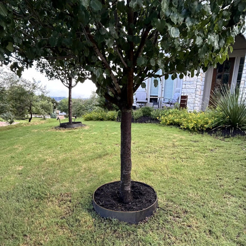Built Tough Sturdy Circular Tree Ring Edging Kit For Landscapes Made With Corten Steel Keeps Roots In Check Wont Bend Or Shift In Wind