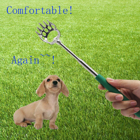Hand holding 4 Pack Telescoping Bear Claw Back Scratcher Extendable Metal Back Scratcher With Rubber Handle beside a dog on grass