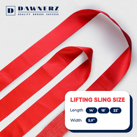 Endless Loop Strap With 11000 Lbs Capacity 14 Ft Long Polyester Endless Web Sling, red strap with size chart visible