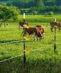 25 Pack Tube Post Insulators For Electric Fence T Post Extender Insulators Universal Fit For Round Pipe Or White Vinyl Picket Fence Keeps Wire Three And A Half Inches From Posts Non Slip Grip Yellow on fence in field with cows
