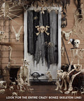 Six Inch Realistic Skeleton Skull Prop With Movable Jaw Made From All Weather Plastic Ideal For Halloween Decor indoors
