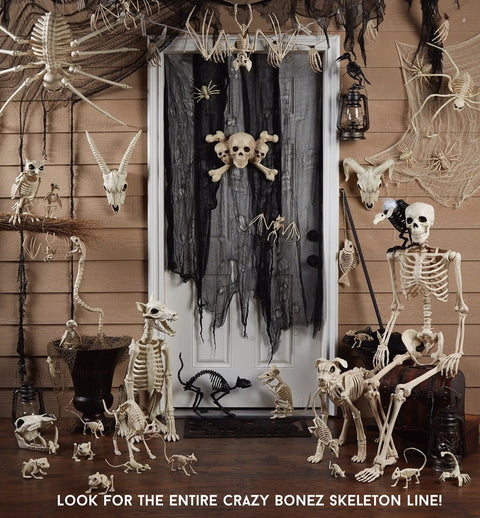 Six Inch Realistic Skeleton Skull Prop With Movable Jaw Made From All Weather Plastic Ideal For Halloween Decor indoors