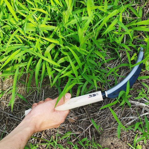 Hand holding Go-To 6.7 Inch Japanese Serrated Garden Sickle with razor sharp carbon steel blade, cutting through weeds in garden.