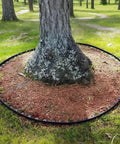 2 Inch By 50 Foot Landscape Edging Border Kit With 75 Anchoring Spikes No Dig Garden Border For Lawn And Flower Beds garden use