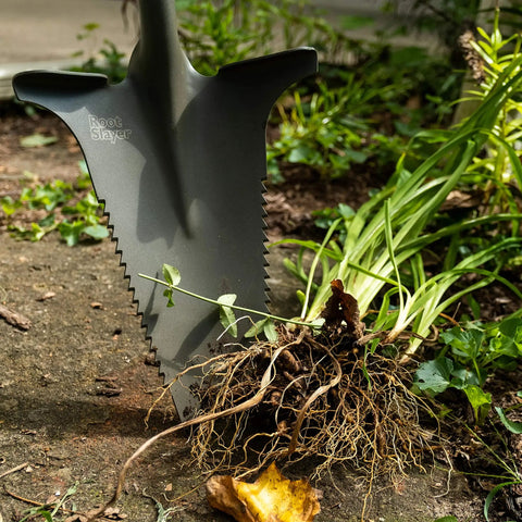 Beast Of A Compact Steel Garden Spade With Serrated Blade And Inverted V Tip For Root Removal in action on garden soil