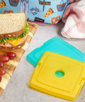 4 Pack Slim Ice Packs for Lunch Boxes and Coolers, Quick Freeze, Reusable and Durable, Multi Colored with sandwich and grapes