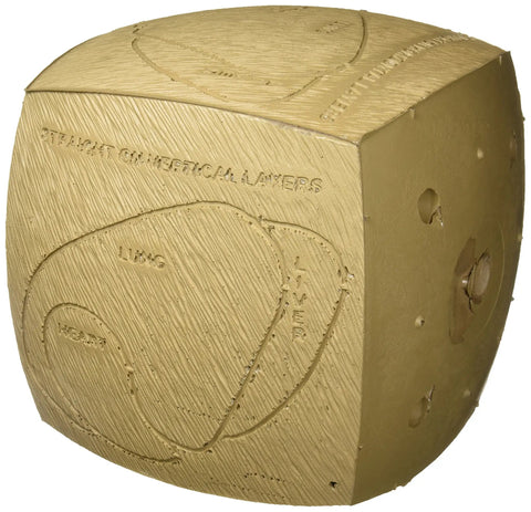 Replacement Buck Target Core With Four Realistic Angles Broadside Horizontal detail showing anatomy markings and Polyfusion layers.