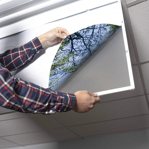 Installing tree themed fluorescent light covers for 2x4 ceiling fixtures with a soft glow, low glare lighting for classrooms and offices.