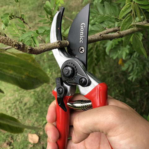 Hand using 8 Inch Bypass Pruning Shears For Garden And Bonsai Heavy Duty Sharp Pruner With Drop Forged Steel cutting a branch