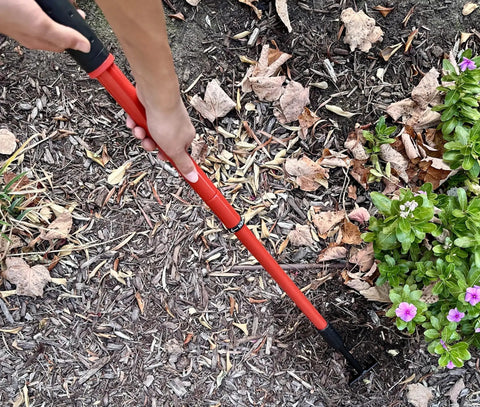 Extendable Handle Garden Cultivator With Adjustable Shaft From 18 To 32 Inches in use for soil breakup near flowers