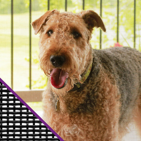 Dog behind Pet Screen Roll For Windows And Doors Charcoal 36 Inch By 84 Inch Polyester Scratch Resistant Durable For Pets Easy To Cut Fit Ideal Diy Replacement Screen Flame Resistant.