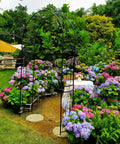Heavy Duty Rustproof Iron Garden Arbor Wedding Arch, 95.3 Inch High By 45 Inch Wide, Built To Last Pergola Trellis in floral garden