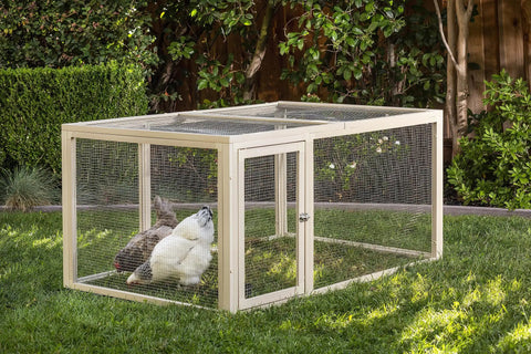 Fontana Jumbo Chicken Pen EcoFlex Outdoor Enclosure With Stainless Steel Wire Predator Resistant Lock on grass