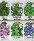 Herb Seed Variety Pack for Indoor or Outdoor Gardens, 12 Culinary Herb Seeds Like Basil, Cilantro, Parsley, Sage, Dill, Marjoram
