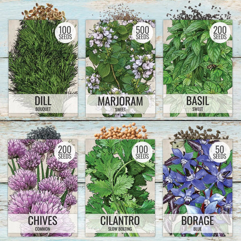 Herb Seed Variety Pack for Indoor or Outdoor Gardens, 12 Culinary Herb Seeds Like Basil, Cilantro, Parsley, Sage, Dill, Marjoram