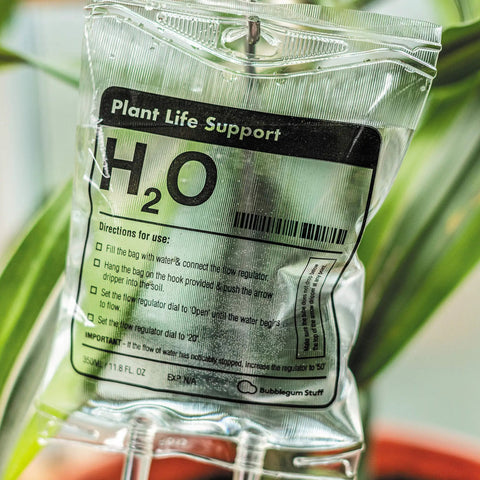 Automatic Indoor Plant Watering System That Keeps Your Houseplants Alive While You Vacation No Fuss Low Maintenance Hands Off Watering Perfect Gift For Garden Lovers And Home Decor Enthusiasts, featuring a 350ml IV-style bag with drip system.