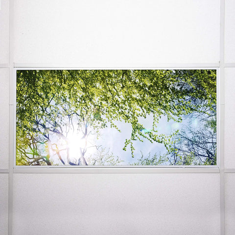 Tree Themed Fluorescent Light Covers for 2x4 Ceiling Fixtures with a Soft Glow, Low Glare Lighting for Classrooms and Offices