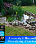 Game Changer 7 In 1 Pond Water Test Kit With 50 Strips For Fish Tanks And Koi Ponds tests water in a serene garden pond setting.