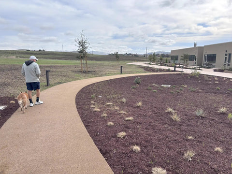 All Natural Psyllium Husk Powder Binder For Decomposed Granite And Soil Stabilization Lets You Bind And Build Easy Pathways And Driveways
