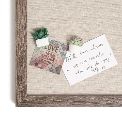 Succulent Push Pins Set for Bulletin Boards with Three Assorted Styles, Nine Count, Cute Office Decor on a bulletin board with notes