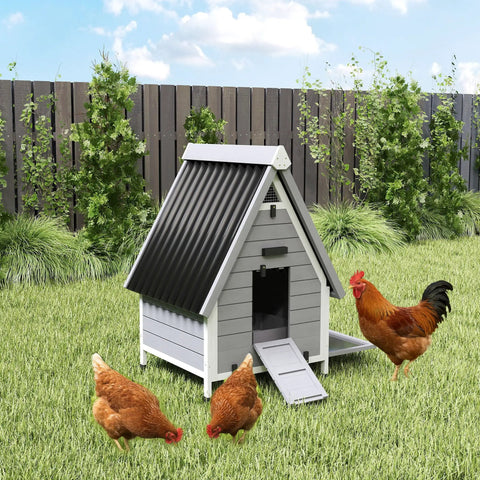 Outdoor Wooden Chicken Coop For Two Hens With Removable Nesting Box, Roosting Bar, Tray, And Ramp, Built Tough Dual Function Poultry Cage And Rabbit Hutch, Weatherproof 31 By 29 By 43 Inches Grey with roosters nearby.