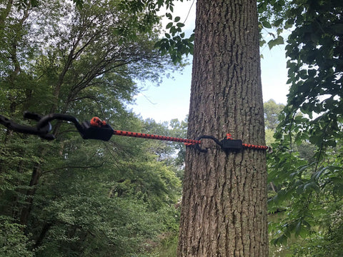 All Purpose Adjustable Bungee Cords With Hooks, 48 Inch, Orange And Black, used for securing around tree outdoors
