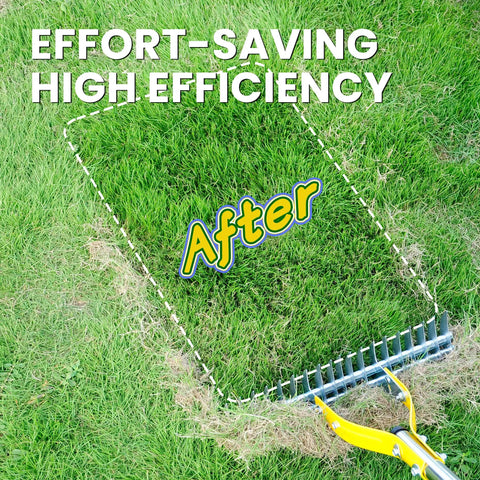 Long Handle Thatch Rake For Lawn With 74 Inch Handle 15 Inch Dethatcher Rake For Grass showing before and after results on lawn