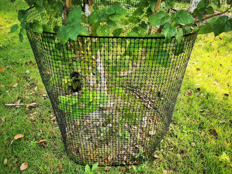 Hella Tough Black Plastic Garden Fence With Heavy Duty Hardware Mesh For Yard Barriers Tree Shields And Poultry Netting Measuring Forty Inches By Twenty Five Foot Long around a young tree.
