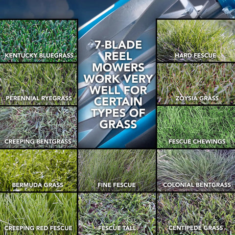 7 Blade Reel Mower With Sharpener For Fine Textured Lawns 16 Inch Cutting Width Lightweight Manual Grass Cutter For Bentgrass Bermuda Zoysia Includes SK 2 Hand Sharpener For Slick Pro Quality Lawn Care. Reel mower grass types chart