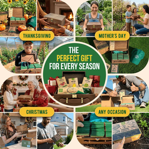 75 Vegetable And Greens Seed Variety Pack With Garden Starter Kit For Indoor And Outdoor Planting Non GMO Heirloom Seeds Over 44,700 Seeds In A Seed Box With Tools, Gloves, And Dispenser A Great Gift For Gardeners