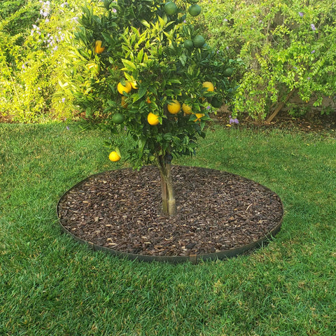 Circular edging kit containing orange tree, made with Corten steel, durable outdoor barrier for healthy tree growth.