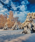Snow-covered trees in a winter landscape beneath a bright, blue sky with fluffy clouds.