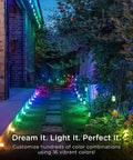 Color Changing LED Garden Lights Kit With 24 Small Landscape Path Lights illuminating a vibrant garden walkway at night.