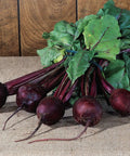 Freshly harvested Detroit Dark Red beets with green tops, showcasing the plump, deep-red roots ideal for a home garden crop.