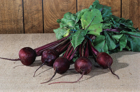 Freshly harvested Detroit Dark Red beets with green tops, showcasing the plump, deep-red roots ideal for a home garden crop.