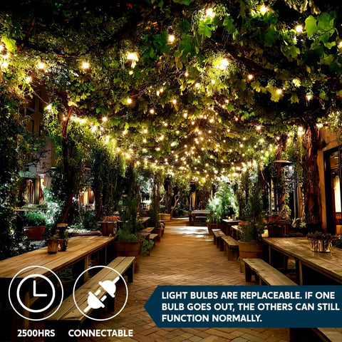 Lit Clear Christmas String Lights Indoor Outdoor 100 Count Mini White Fairy Lights Nineteen Point Four Feet Green Wire