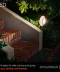 Beast Mode Bright PAR38 LED Bulb 25W Equivalent to 150W, 15 Degree Spot lighting brick steps outdoors