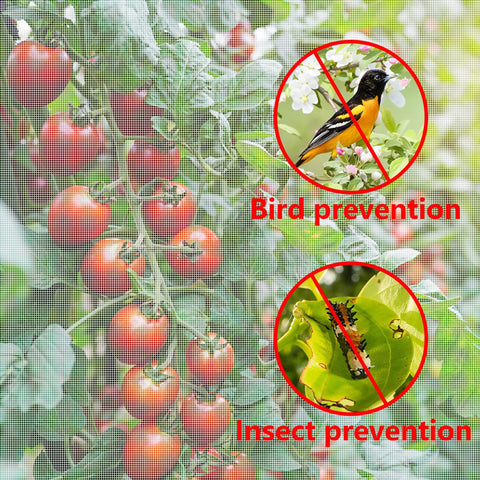 Insect And Bird Barrier Garden Netting 20 X 10 Feet Easy Cut Plant Cover protecting tomatoes from pests and birds