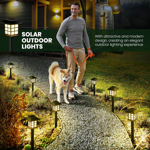 Man walking dog along path lit by 8 Pack LED Solar Outdoor Lights Waterproof For Garden Pathway Driveway And Yard Auto On At Night