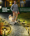 Man walking dog on path illuminated by 16 Pack Solar Outdoor LED Lights Waterproof for Garden Path Yard Patio Driveway