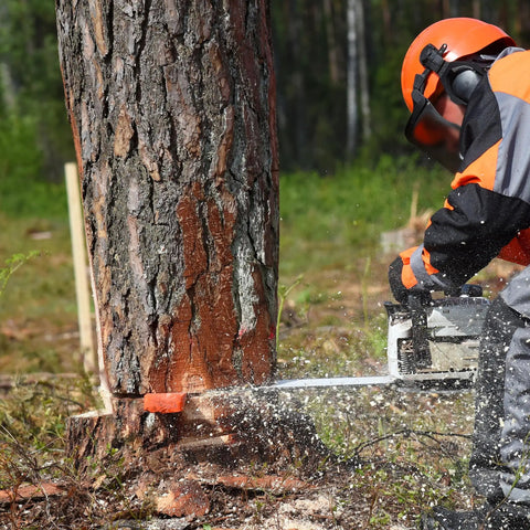 A worker using a chainsaw on a tree with Heavy Duty Tree Felling Wedges 4 Pack With Tough As Nails Spike Bases Guaranteed No Pinch Split High Impact Abs Plastic Woodcutting Gear For Landowners Keeps Firewood Work Smooth.