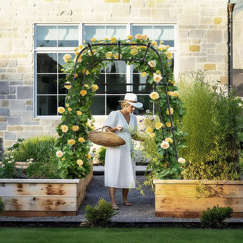 Heavy Duty Garden Arch Trellis For Climbing Plants Outdoor Metal Arbor Support For Raised Bed Cucumber Tomato Grape Plants Rust Resistant Coated Steel Frame 6.7 Ft Tall Durable Plant Stand For Veggies And Flowers showcasing lush climbing flowers