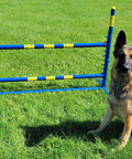 Fixed Base Dog Agility Jump Hurdle Built Tough From Heavy Duty 1.25 Inch PVC Indoor Or Outdoor Training Gear with sitting dog