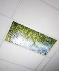 Tree Themed Fluorescent Light Covers For 2x4 Ceiling Fixtures With A Soft Glow, Low Glare Lighting For Classrooms And Offices
