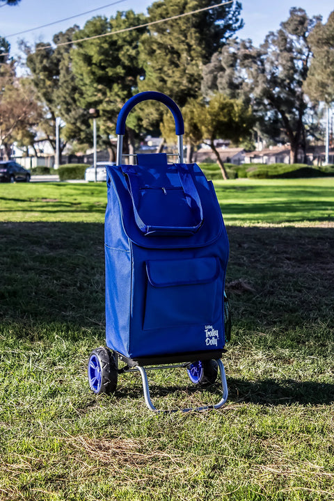 Foldable Trolley Dolly Shopping Cart with heavy duty wheels and removable bag for groceries, rolling hand truck for all terrain use.