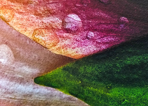 Close-up of color saturation on 13 By 19 Inch Cold Press Watercolor Fine Art Inkjet Paper Pack Of 50 Sheets.