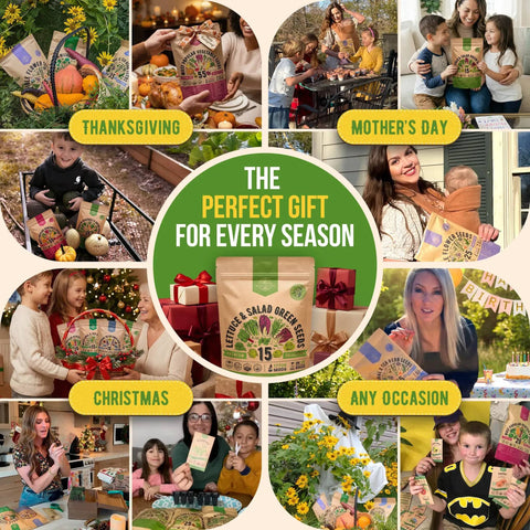 Collage of seasonal gift occasions featuring 15 Variety Lettuce And Salad Greens Seeds Pack With 17700 Plus Non GMO Heirloom Seeds