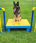 Agility Free Standing Wings For Dogs Pro Grade PVC Indoor Outdoor Obstacle Training Equipment with German Shepherd on platform