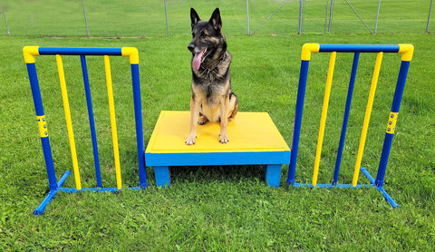 Agility Free Standing Wings For Dogs Pro Grade PVC Indoor Outdoor Obstacle Training Equipment with German Shepherd on platform
